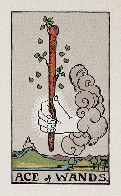 Ace of Wands
